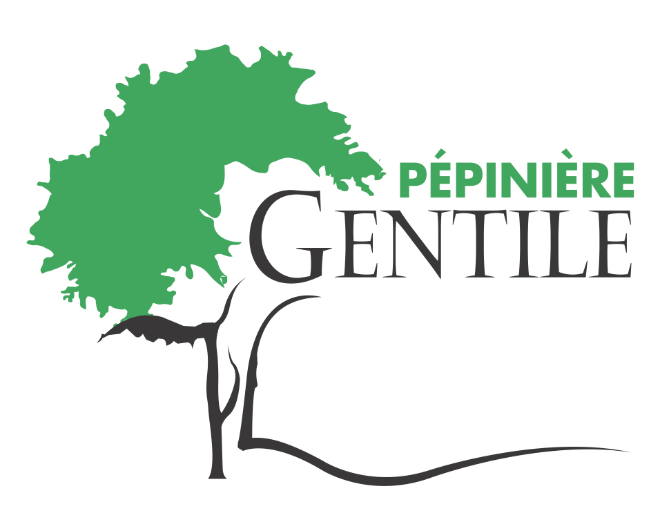 Logo Pépinière Gentile